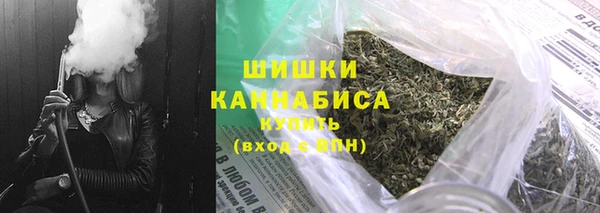 соль ск Каменка