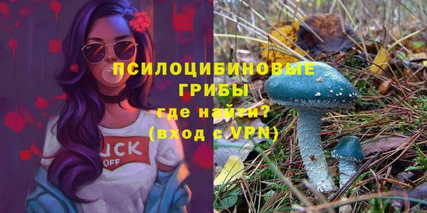 соль ск Каменка