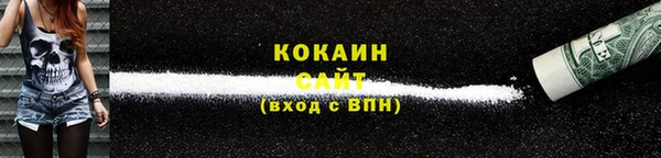 соль ск Каменка