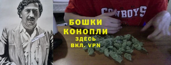 соль ск Каменка