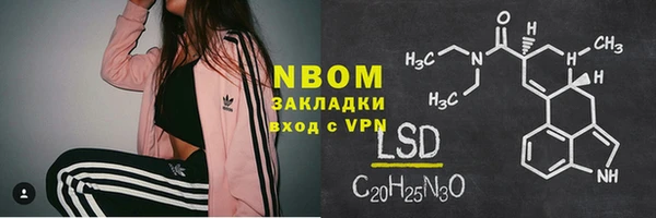 соль ск Каменка