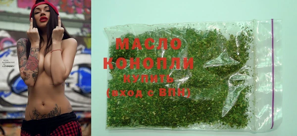 соль ск Каменка